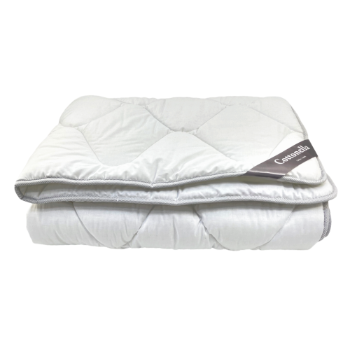 Cottonella caloroczna.PNG