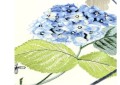 Przechwytywanie123_Easy-Resize.com.jpg