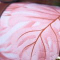 Narzuta hibiscus zoom 4a.jpg